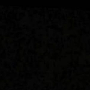 Meet your Posher, Rose